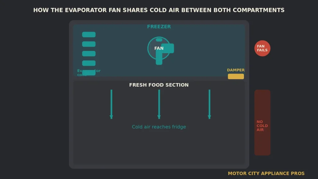 Cutaway diagram of a refrigerator showing the evaporator fan moving cold air from the freezer section down into the fresh food section, with a failed fan scenario on the right side